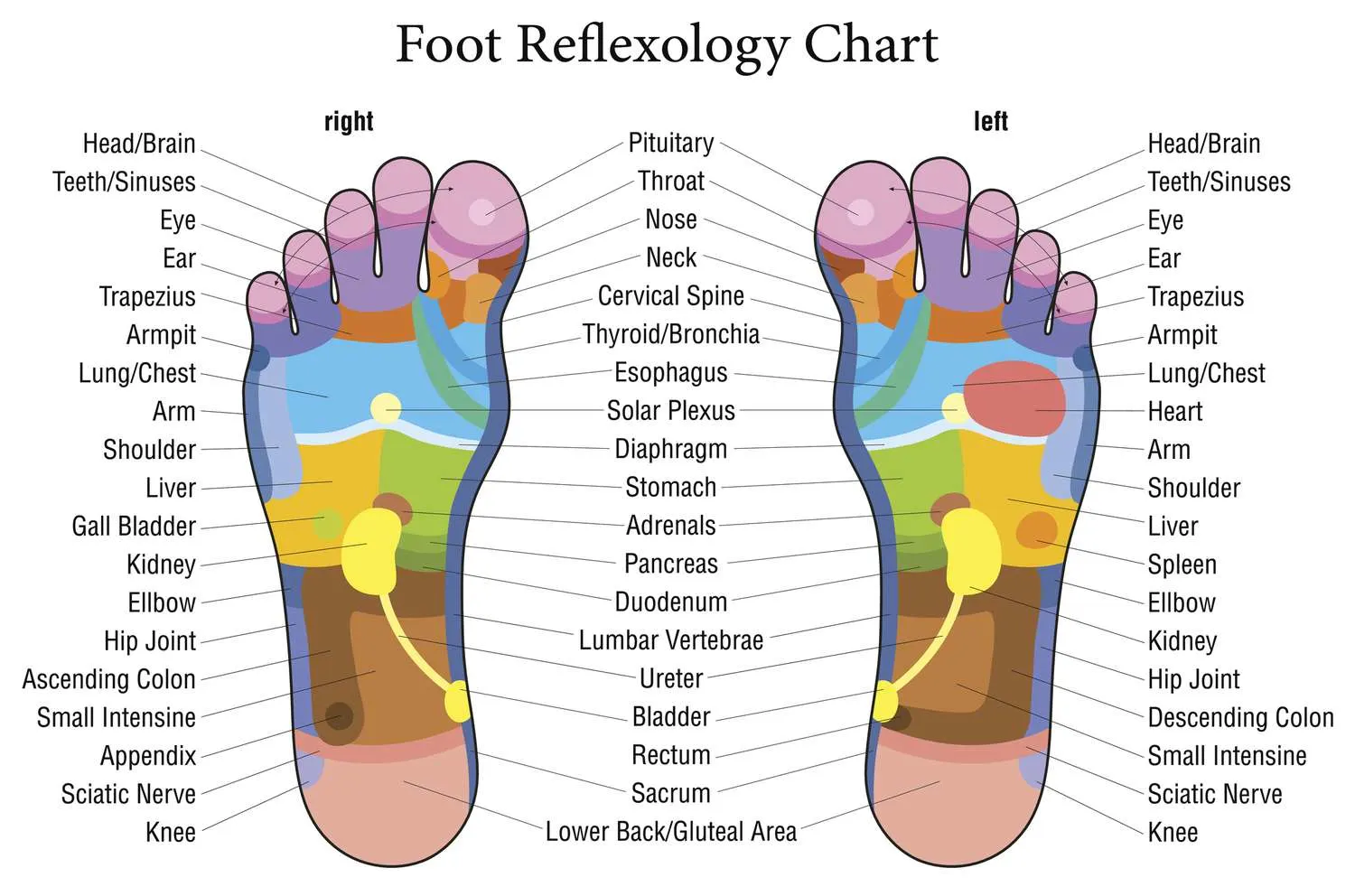 Foot Reflexology image 2 - RK Makeup Studio Tirupati